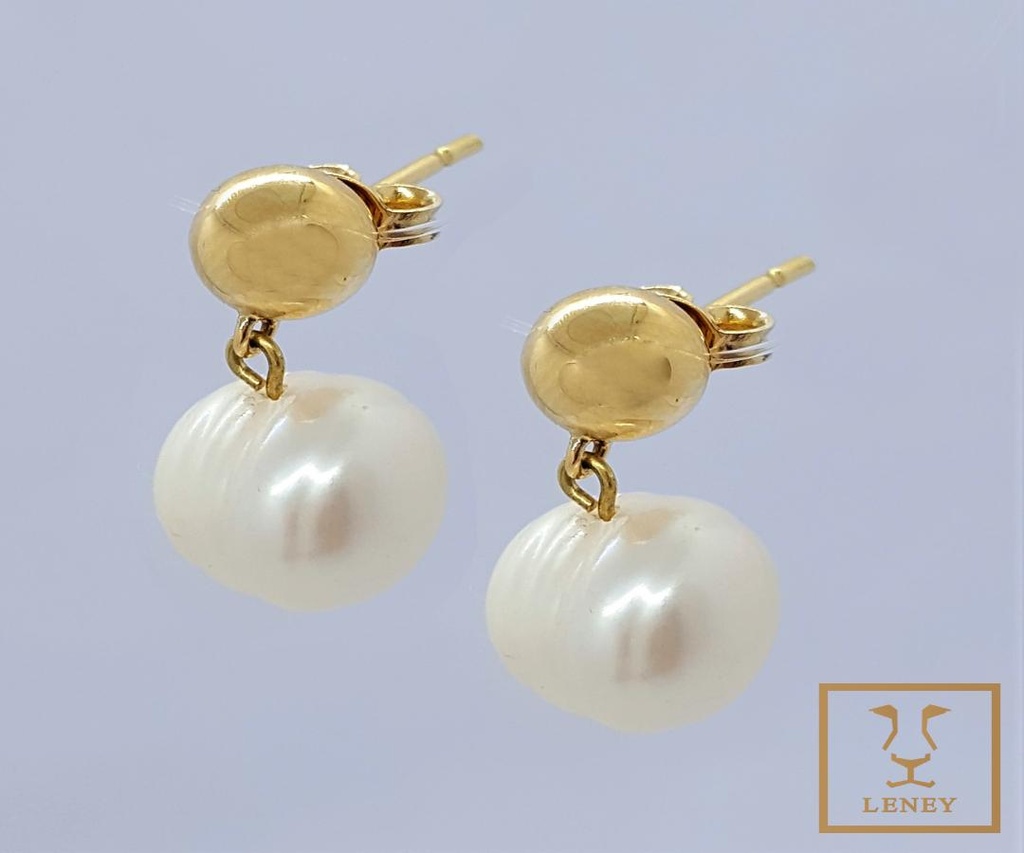 ARETE GOTA Y BOTON
