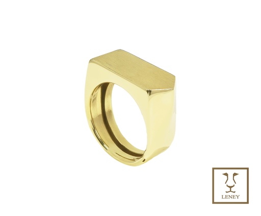 [1559W6] ANILLO UNA VIA O DIRECCION